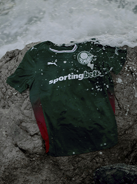 Onde houver um palmeirense, sempre haverá Palmeiras!