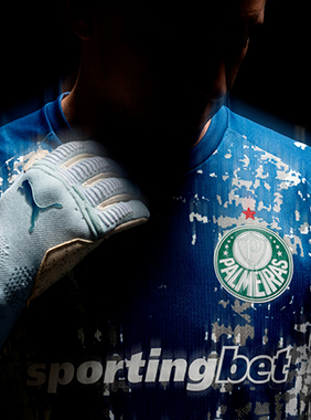 Camisa Palmeiras Goleiro